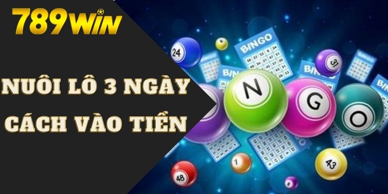 Hướng dẫn sử dụng dòng tiền hiệu quả khi nuôi lô 3 ngày