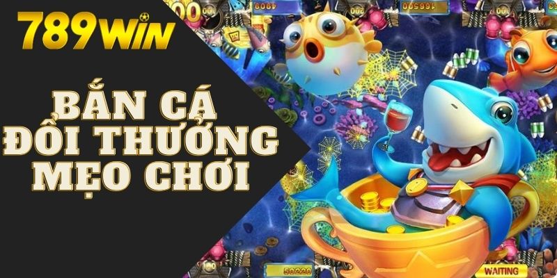 Mẹo phá đảo game bắn cá ăn sạch tiền nhà cái